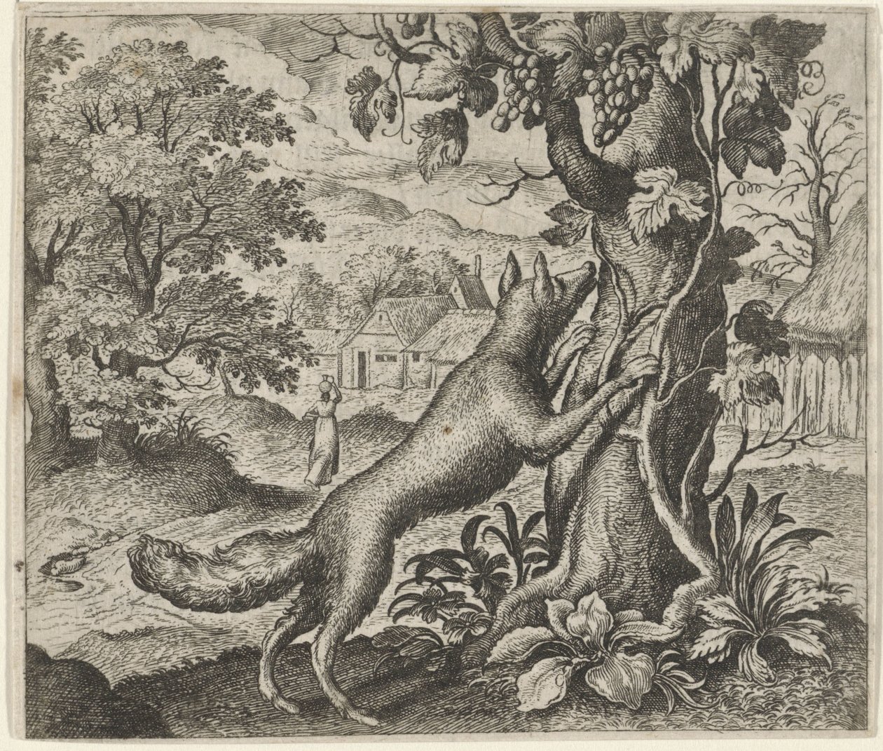 Fable of the Fox and the Grapes by Egidius  Sadeler (II)