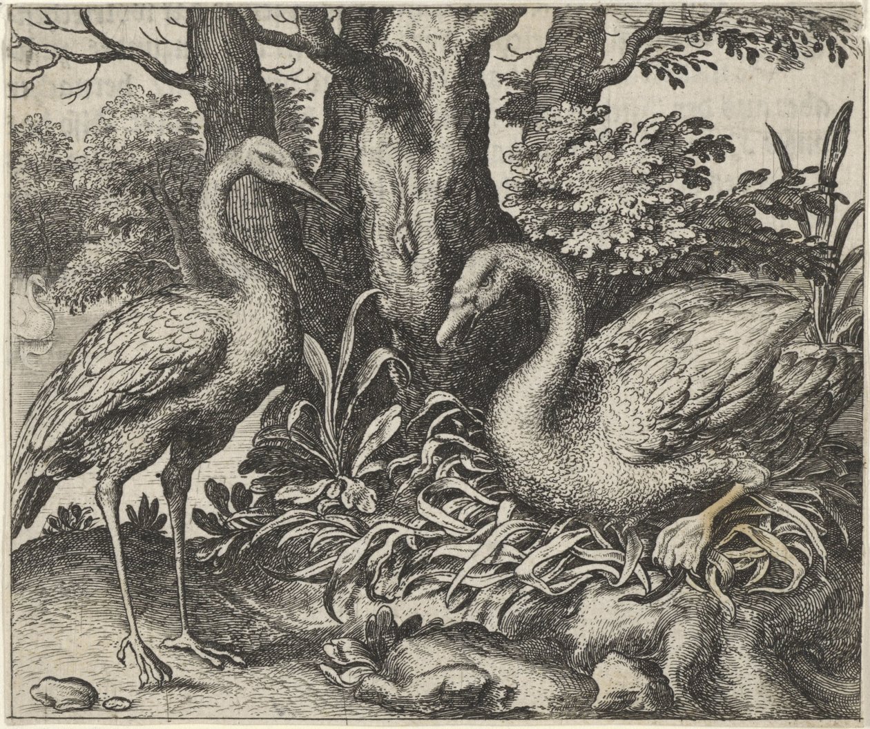 Fable of the Swan and the Stork by Egidius  Sadeler (II)