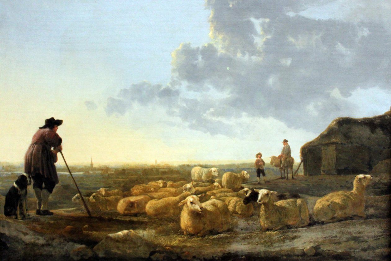 Herd of Sheep at Pasture by Aelbert Cuyp