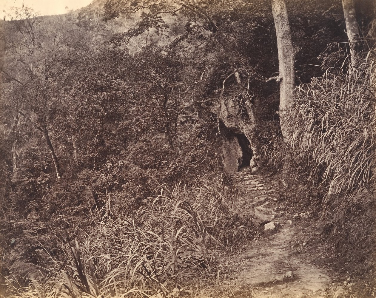 Left Road up to Yuen Foo Monastery by Afong Lai