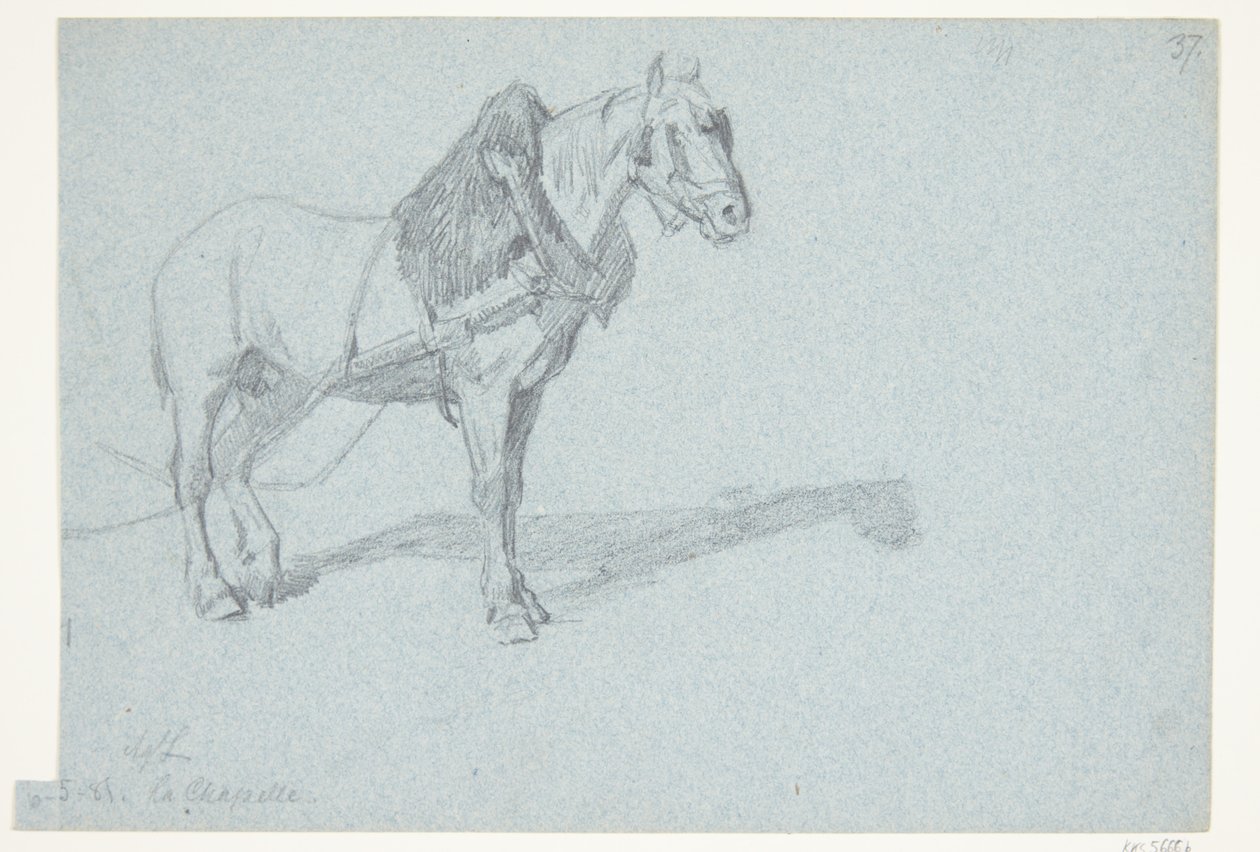 A Horse by Agnes Lunn