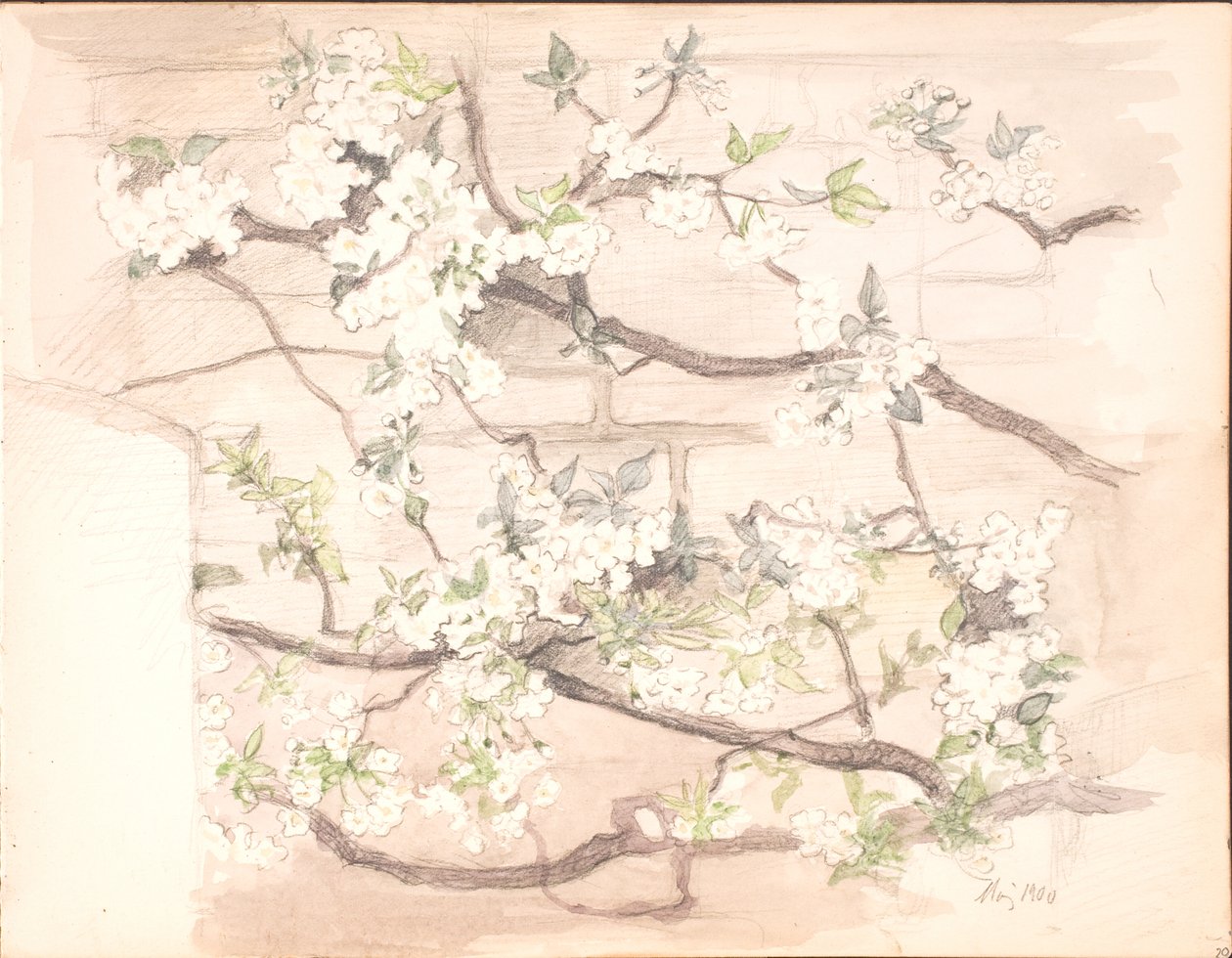 Apple Blossoms by Agnes Slott Møller