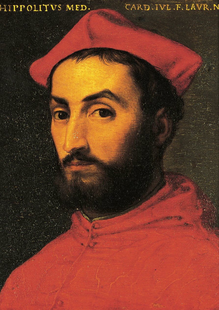 Portrait of Ippolito de Medici by Agnolo Bronzino