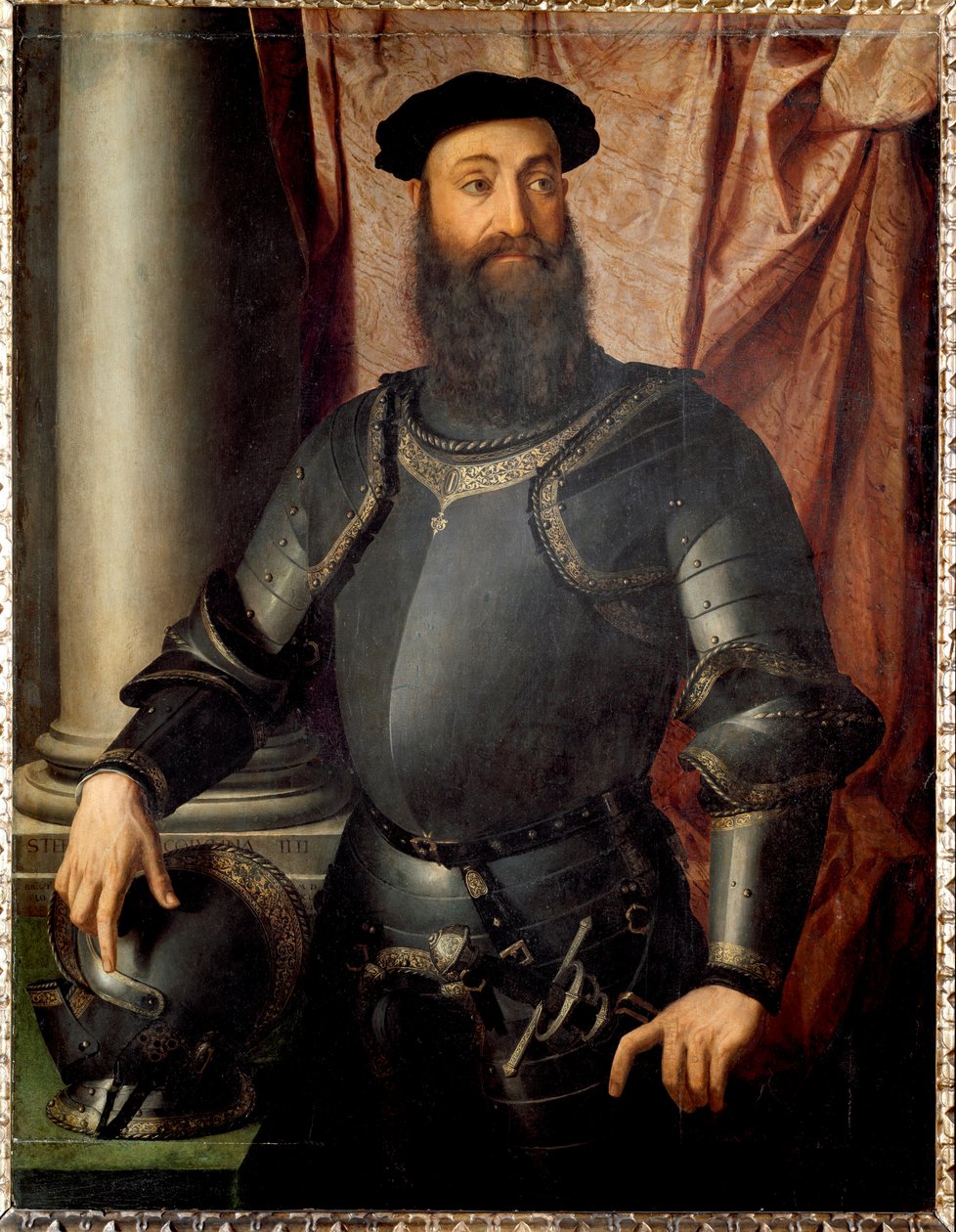 Portrait of the Condottiere Stefano Colonna by Agnolo Bronzino