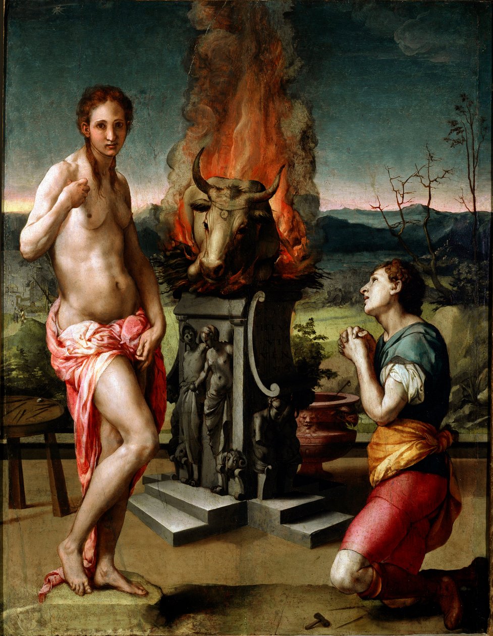 Pygmalion and Galatee by Agnolo Bronzino