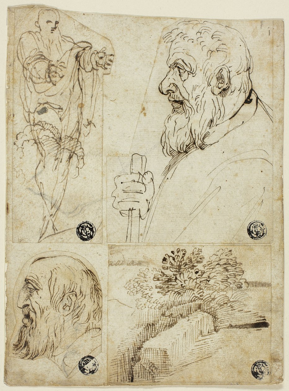Four Sketches: Standing Male Figure; Profile Bust of Bearded Man; Profile Head of Bearded Man; Landscape by Agostino Carracci
