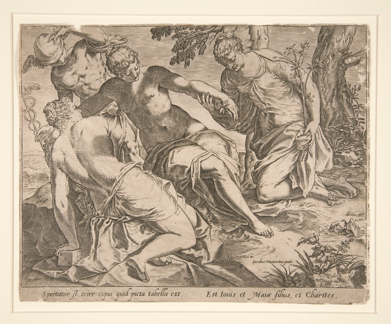 Mercury and the Three Graces by Agostino Carracci