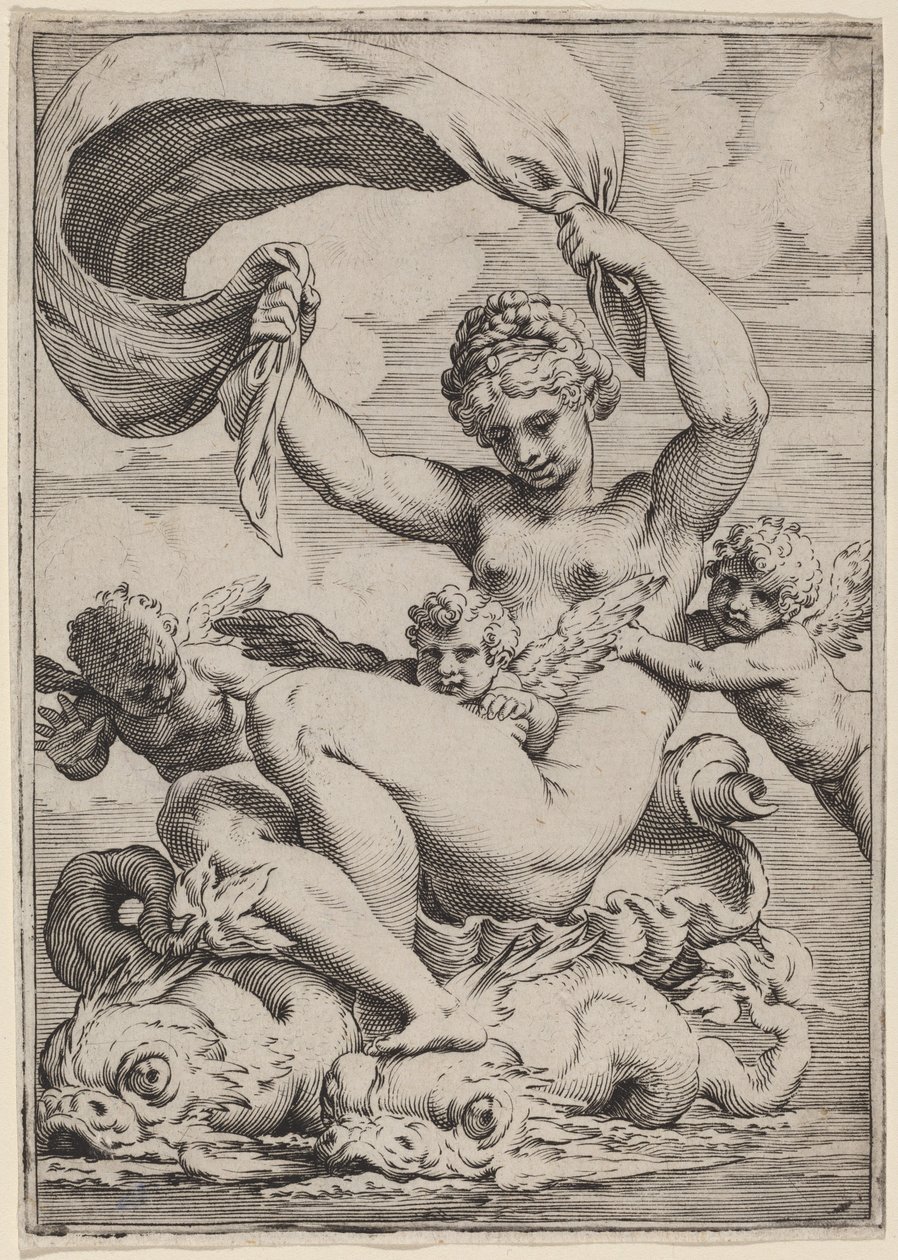 Venus or Galatea Supported by Dolphins by Agostino Carracci