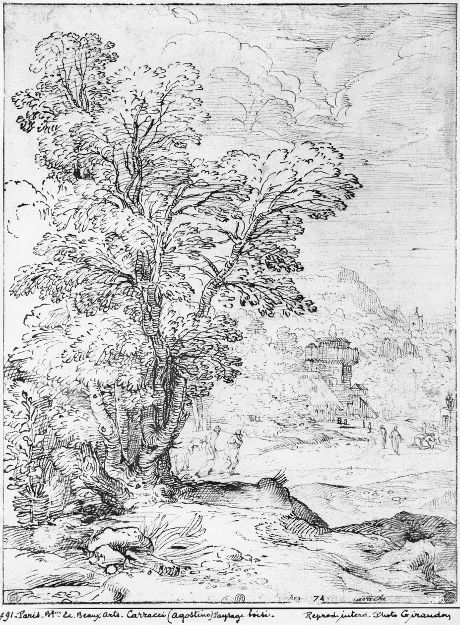 Wooded Landscape by Agostino Carracci