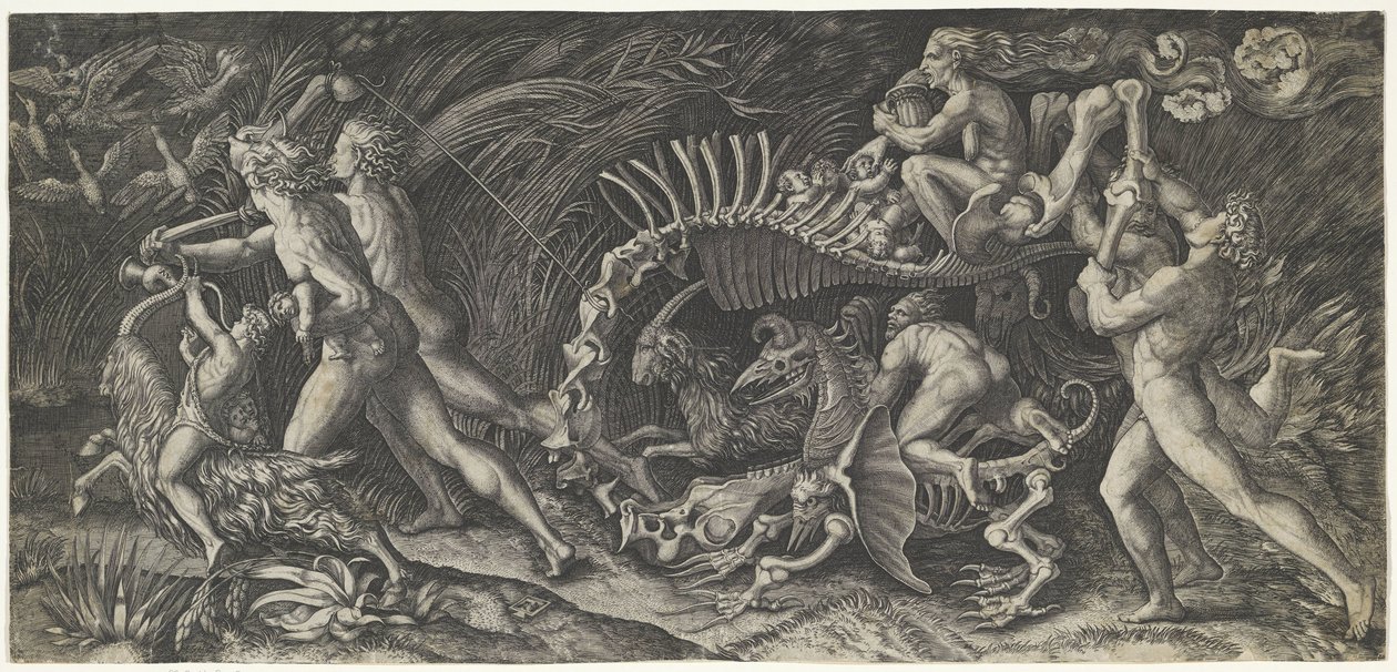 The Carcass by Agostino Veneziano