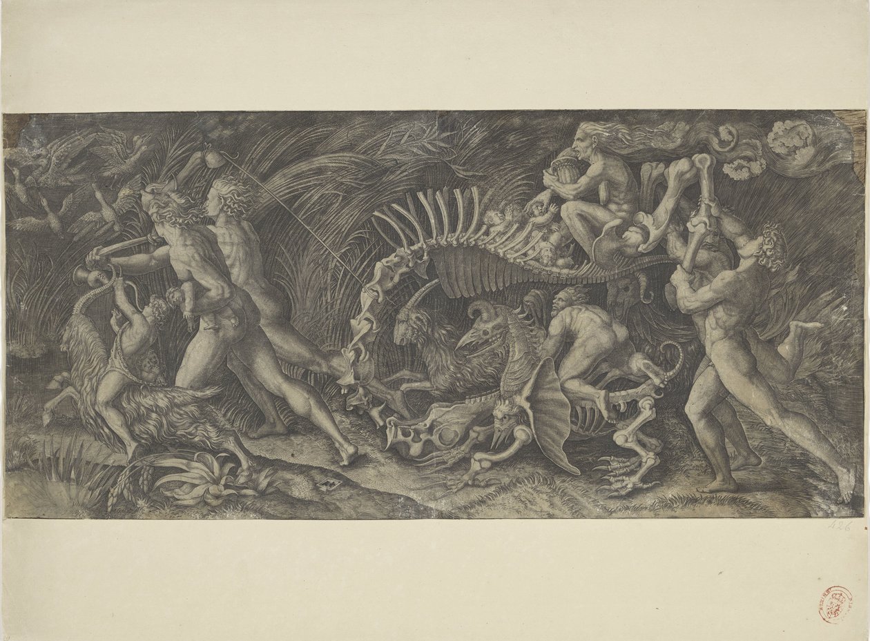 The Carcass by Agostino Veneziano