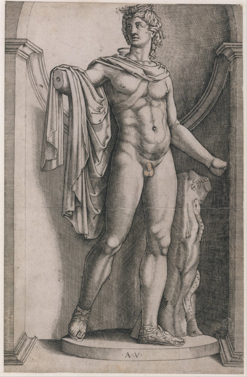 Speculum Romanae Magnificentiae: Apollo Belvedere, ca. 1514-36 by Agostino Veneziano