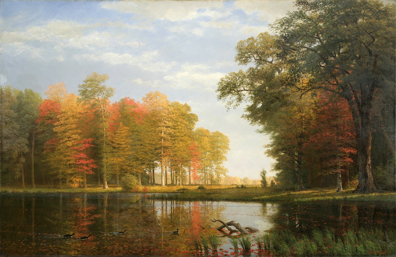 Autumn Woods by Albert Bierstadt