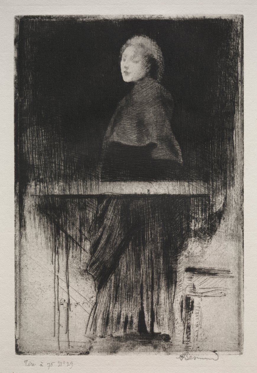 Woman with a Cape by Albert Besnard