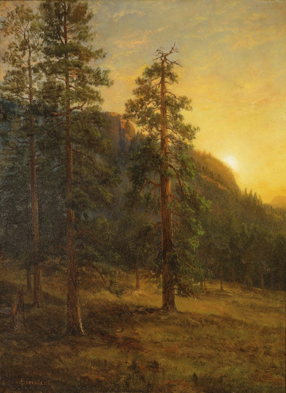 California Redwoods by Albert Bierstadt