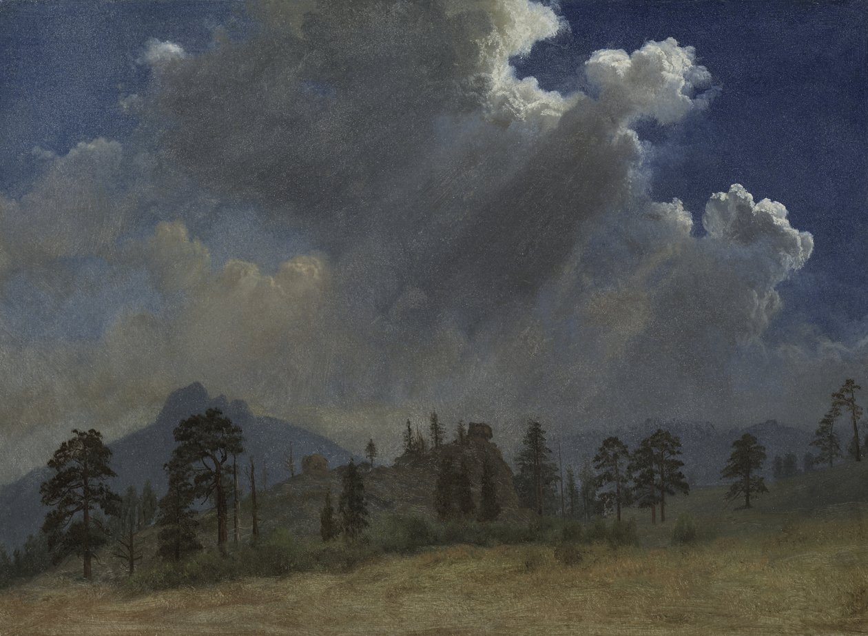 Fir Trees and Storm Clouds by Albert Bierstadt