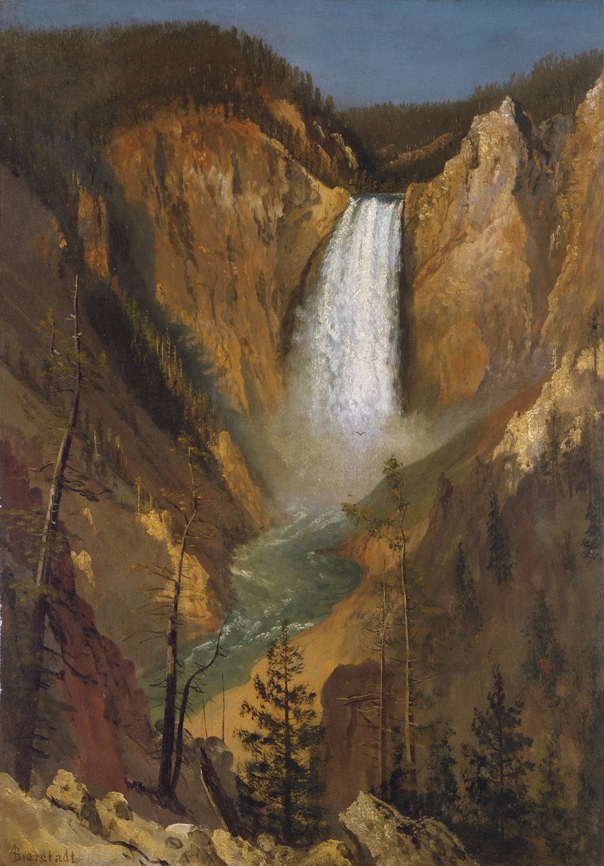 Lower Falls of the Yellowstone by Albert Bierstadt