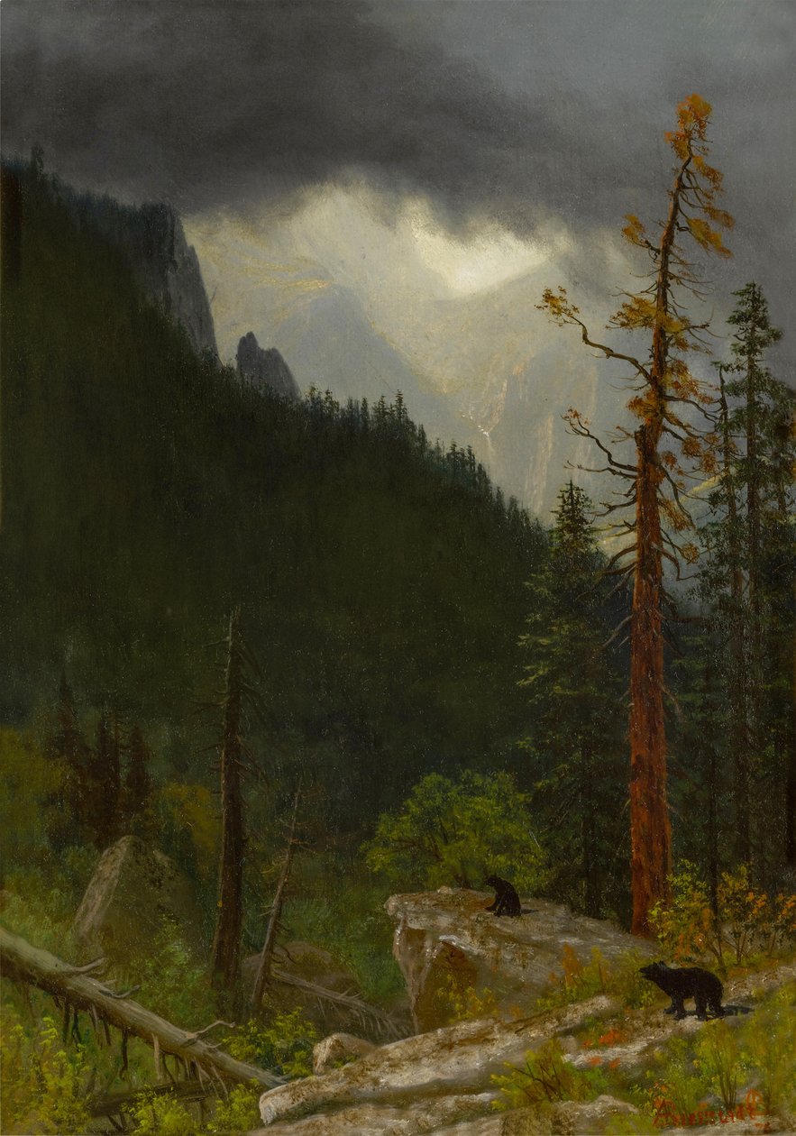 Rockies After a Storm by Albert Bierstadt