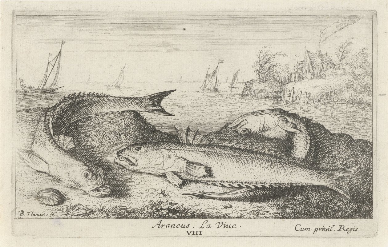 Three Spotted John Dories on the Beach by Albert Flamen