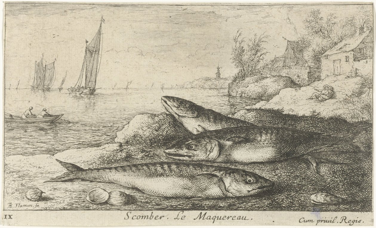 Three Mackerels on the Beach (Scomber. The Mackerel) (Fish and Other Sea Creatures - Saltwater First Series) (Various Species of Sea Fish) by Albert Flamen