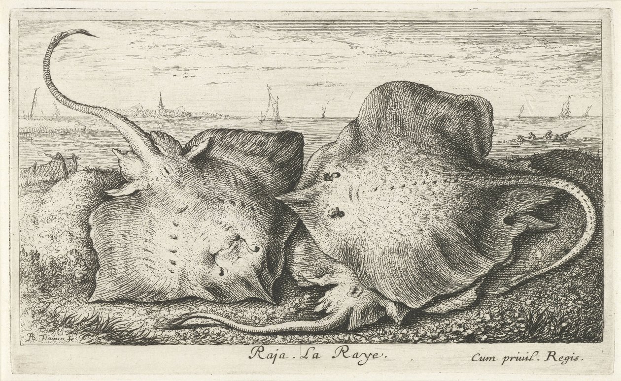 Three Rays on the Beach by Albert Flamen