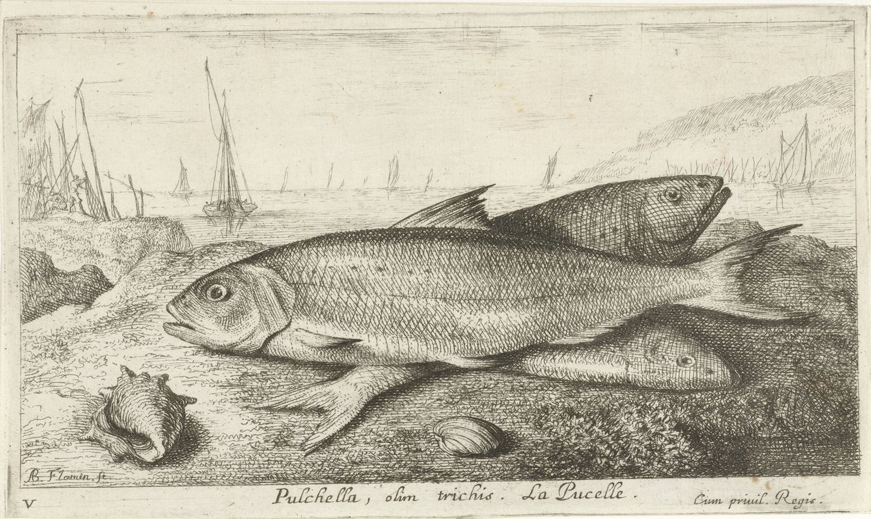 Three Fish on the Beach by Albert Flamen