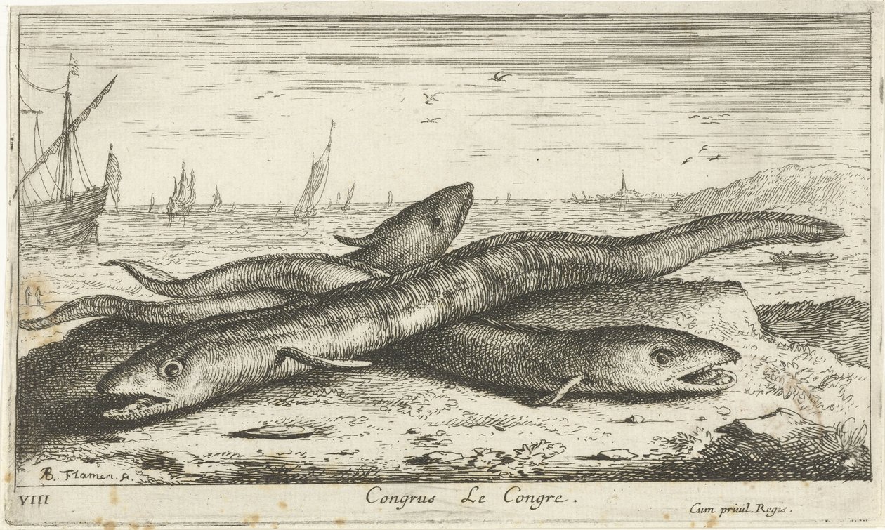 Three Eels on the Beach by Albert Flamen