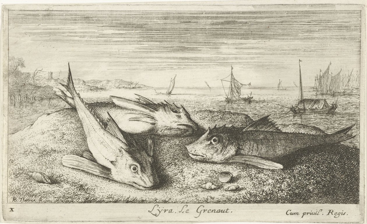Three Saltwater Fish on the Beach (Saltwater Fish - First Series) by Albert Flamen