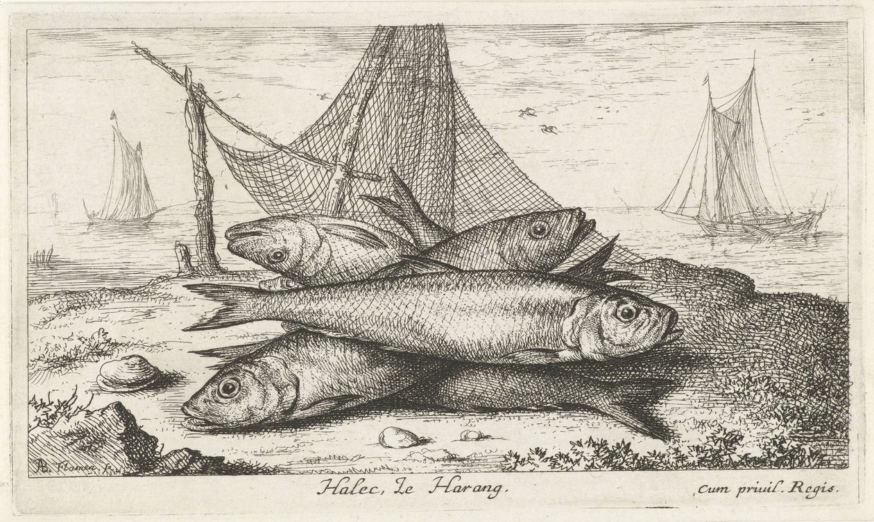 Herrings by a Fishing Net (Halec, Le Harang) by Albert Flamen