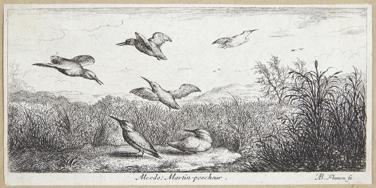 The Kingfisher by Albert Flamen