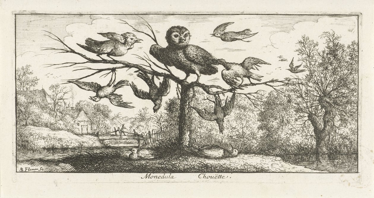 Landscape with Barn Owl among Other Birds (series: Bird Book) by Albert Flamen