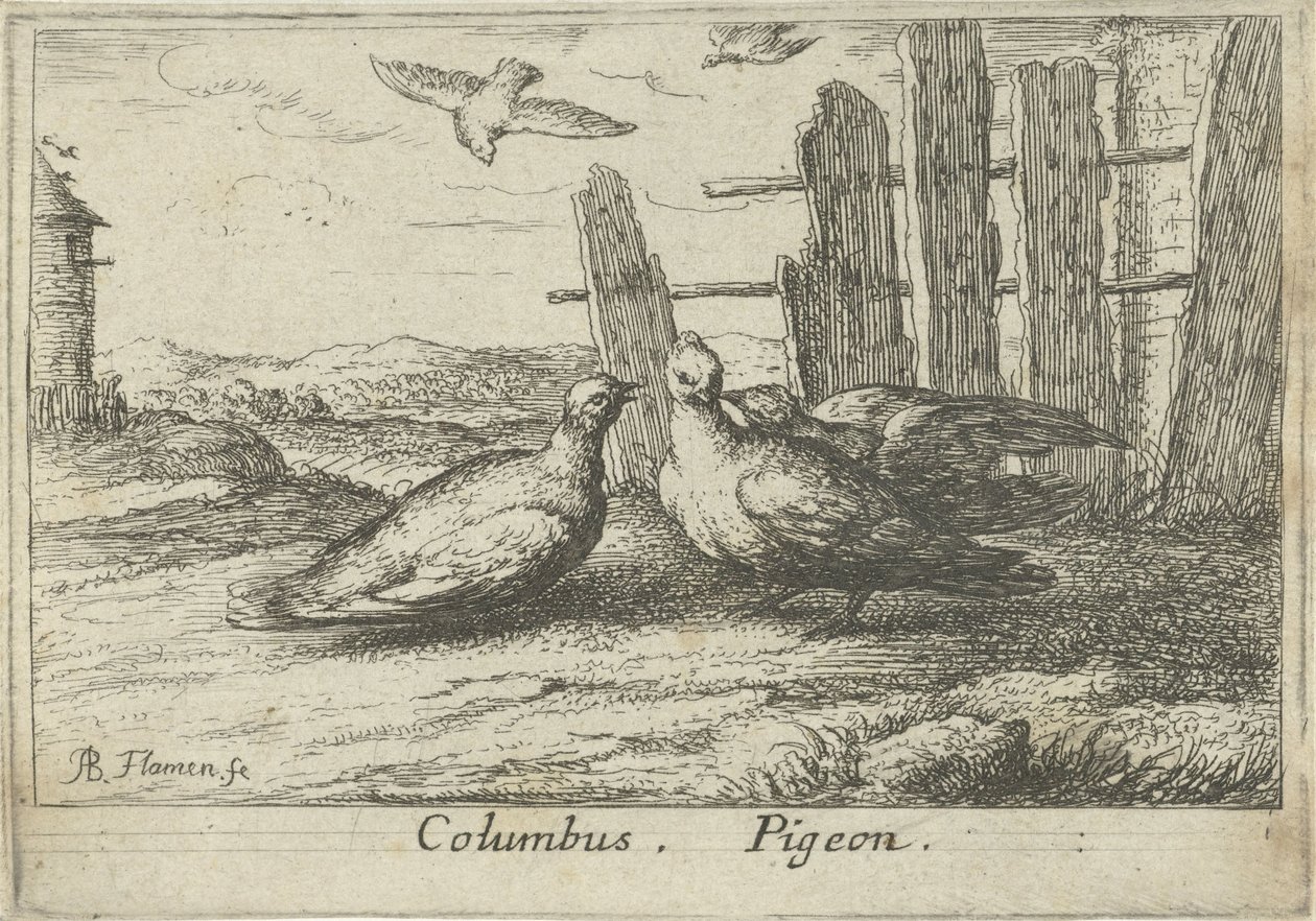 Two Doves by a Fence by Albert Flamen