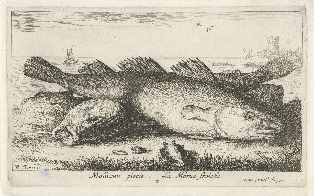 Two Codfish on the Beach by Albert Flamen