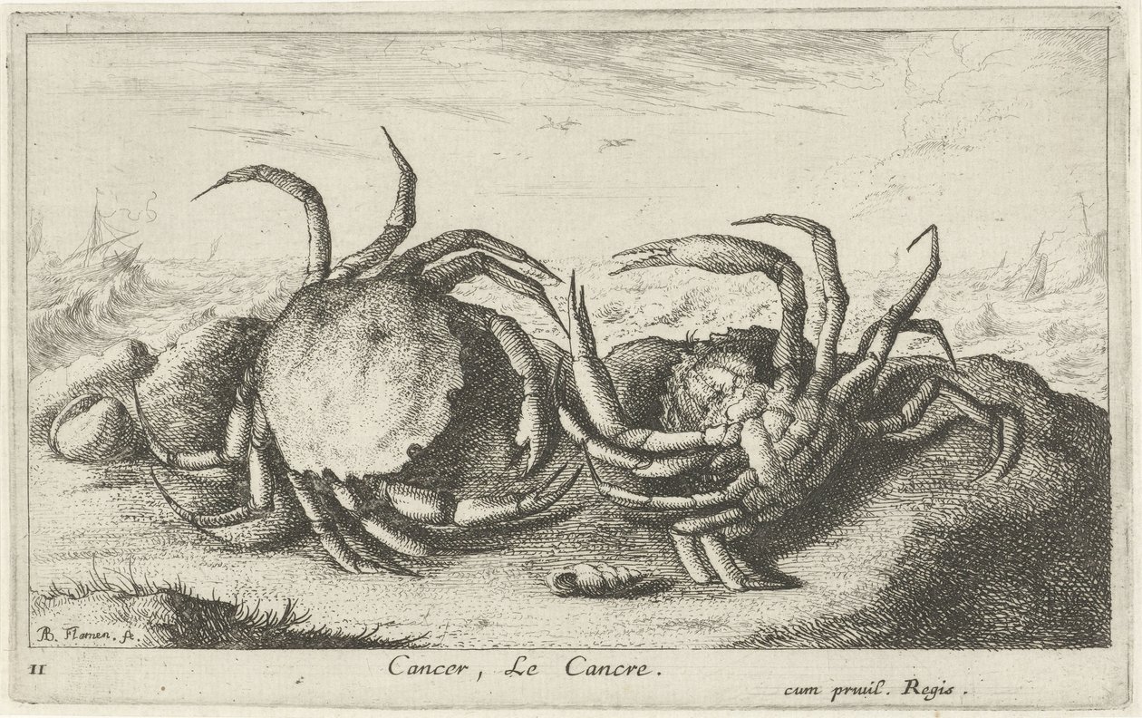 Two Crabs on the Beach (Fish and Other Sea Creatures - Saltwater First Series) by Albert Flamen