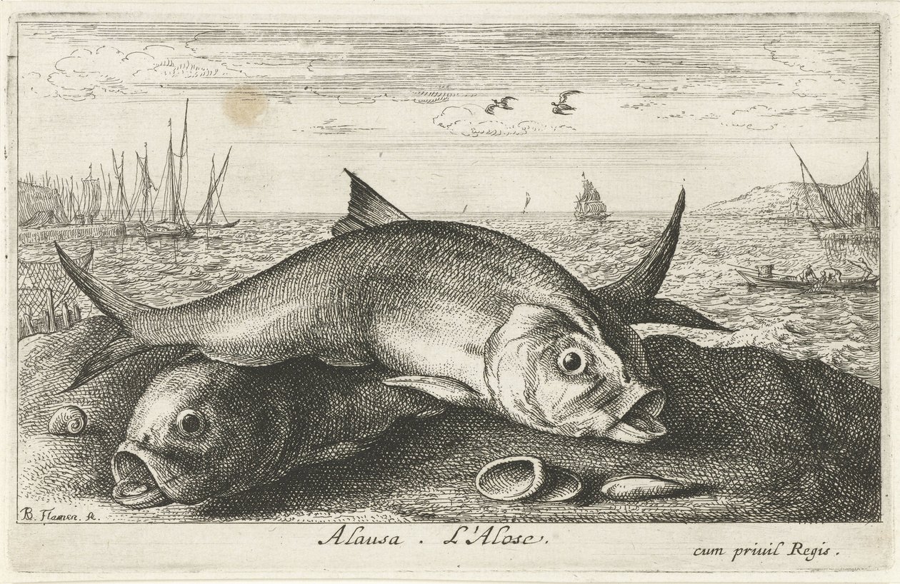 Two Shad Fish on the Beach by Albert Flamen
