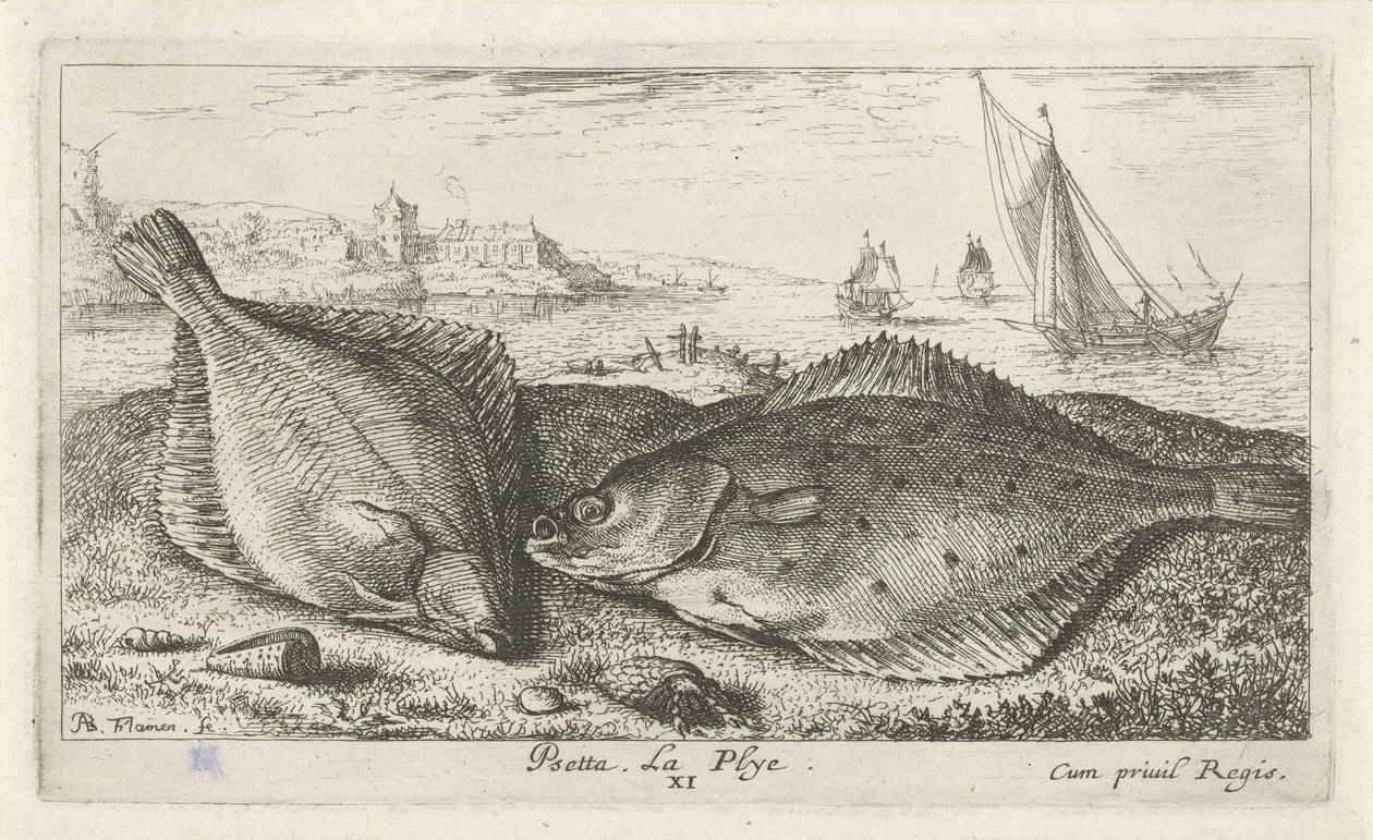 Two Flatfish on the Beach (Saltwater Series) by Albert Flamen