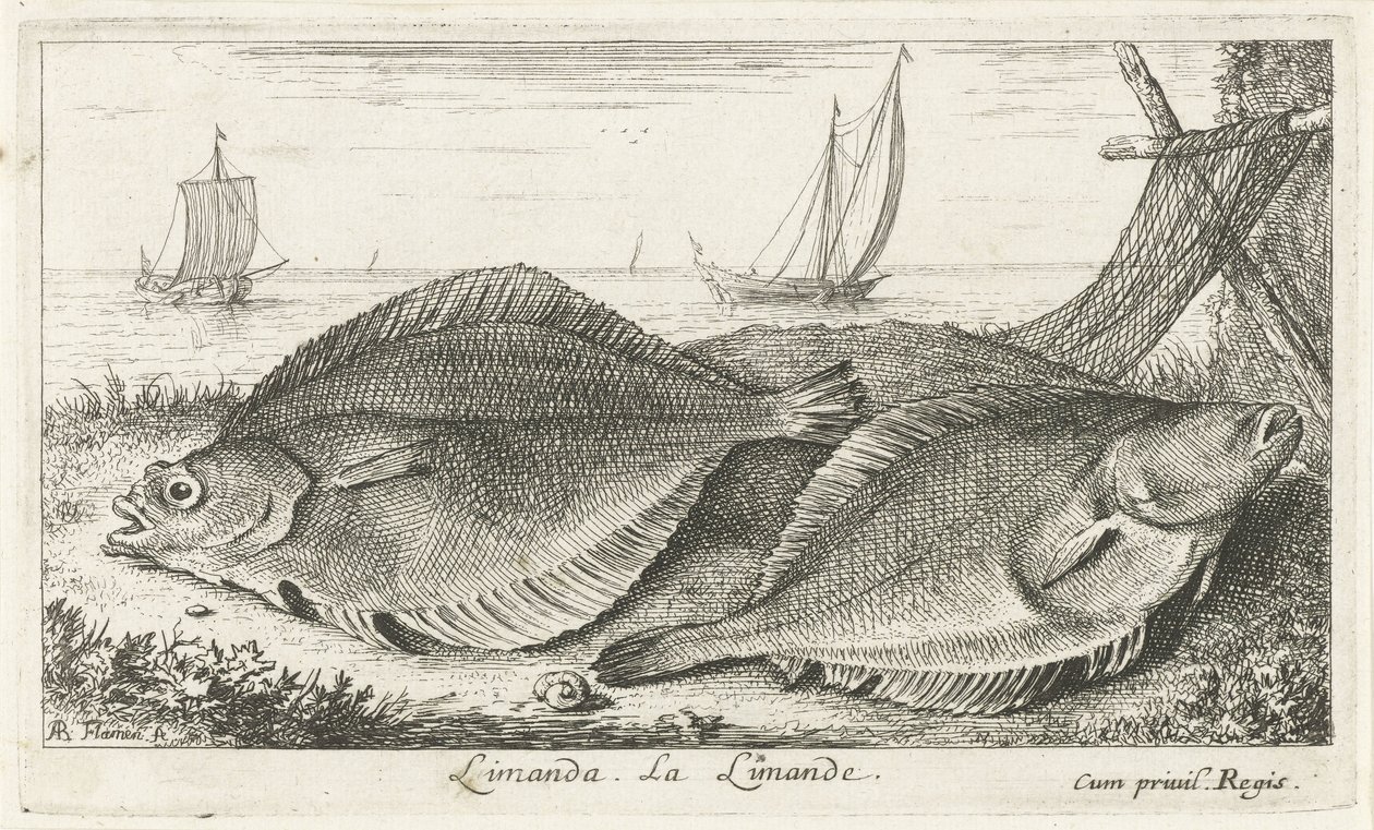 Two Flounders on the Beach by Albert Flamen