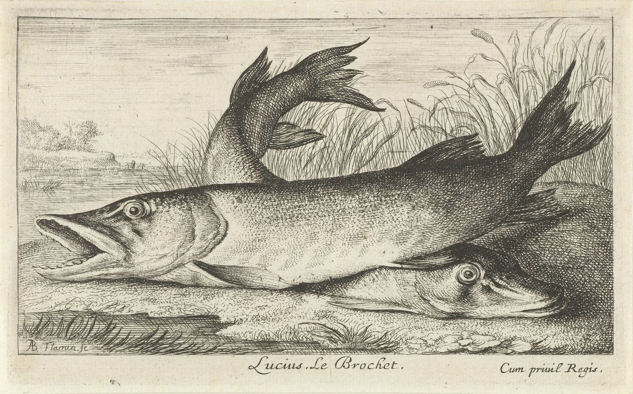 Two Pikes on a Riverbank by Albert Flamen