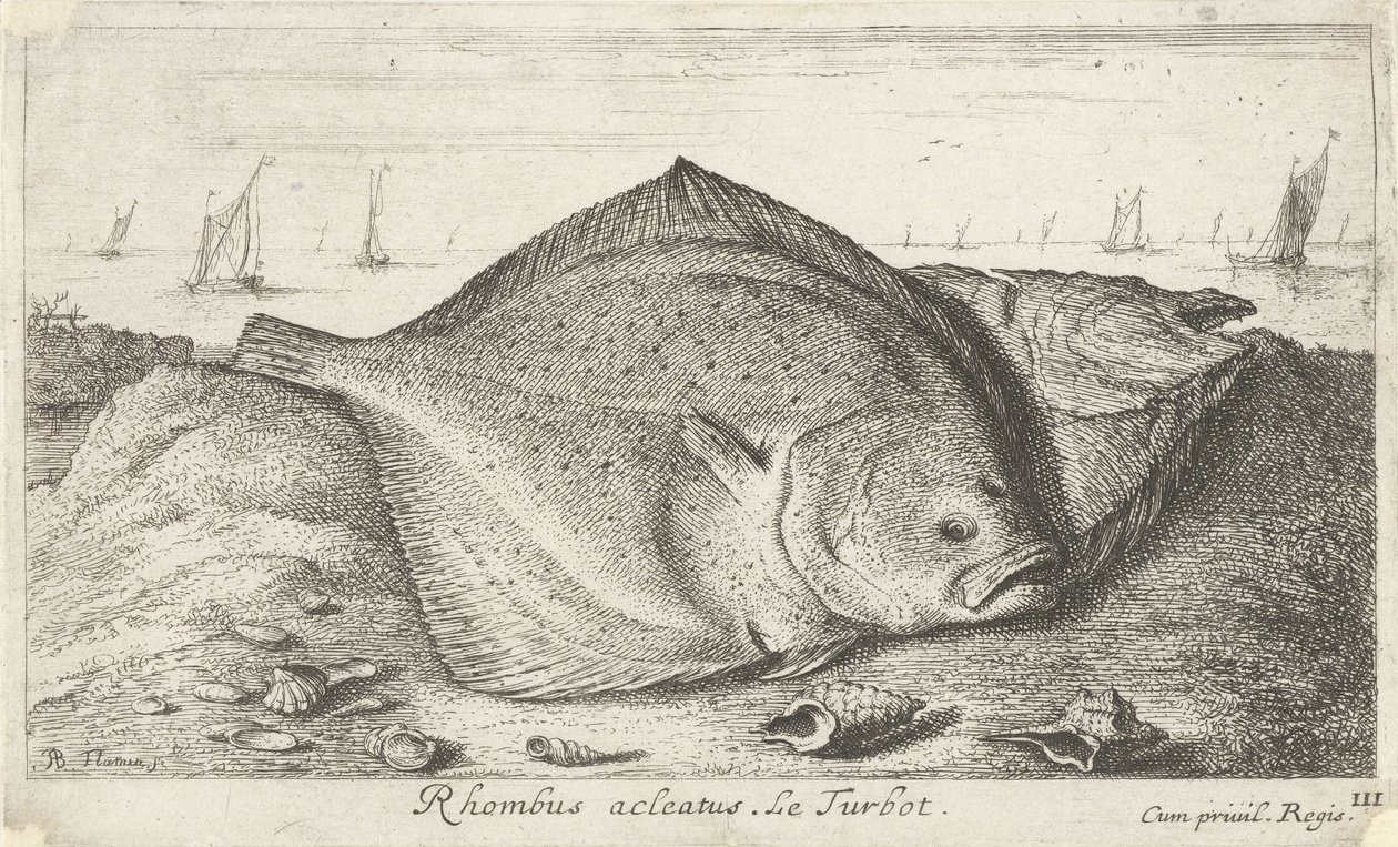 Two Turbots on the Beach by Albert Flamen