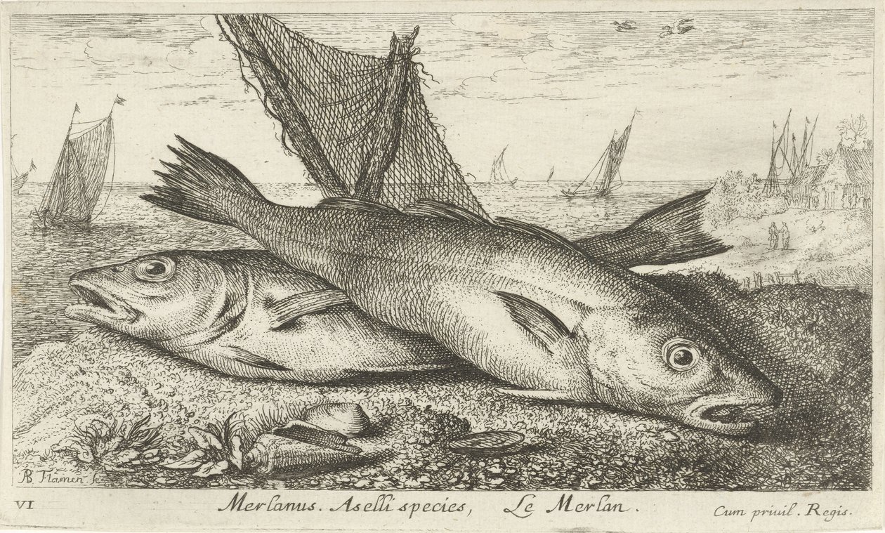 Two Whiting on the Beach by Albert Flamen
