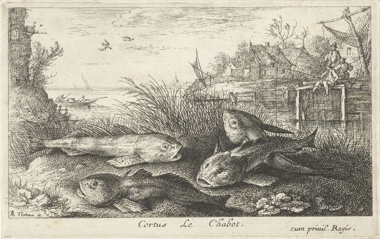 Four Chubs on a Riverbank (Fish and Other Sea Creatures - Freshwater Second Series) by Albert Flamen