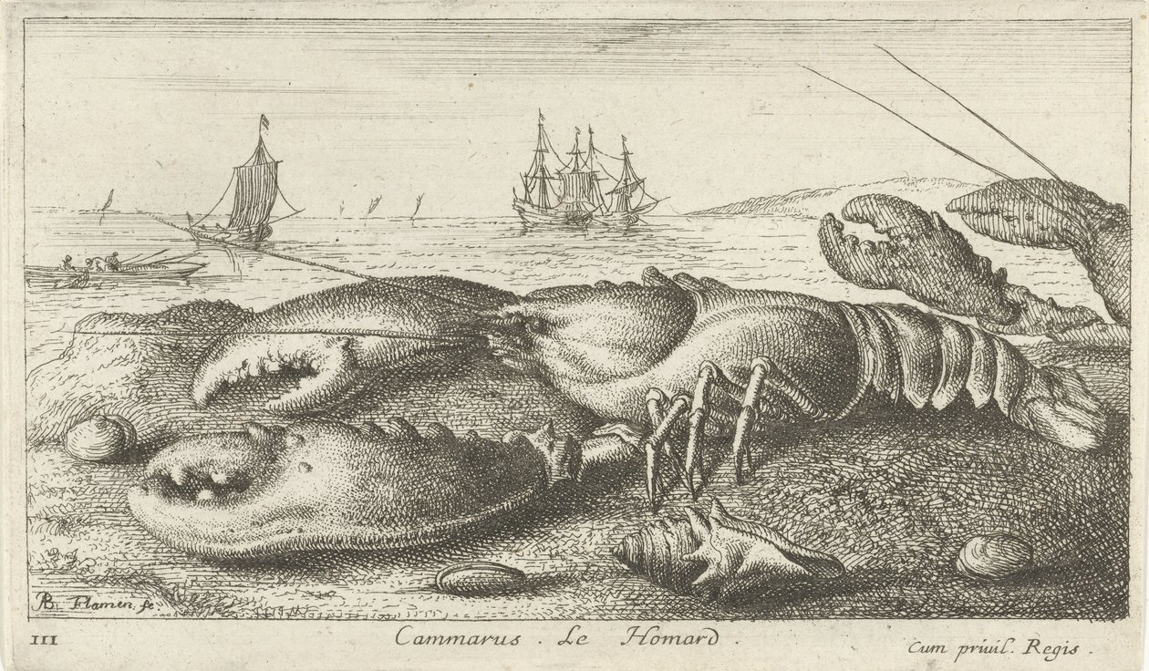 Lobster on the Beach (Vissen en andere zeedieren - zoutwater eerste reeks, Diverses Especes de Poissons de mer) by Albert Flamen