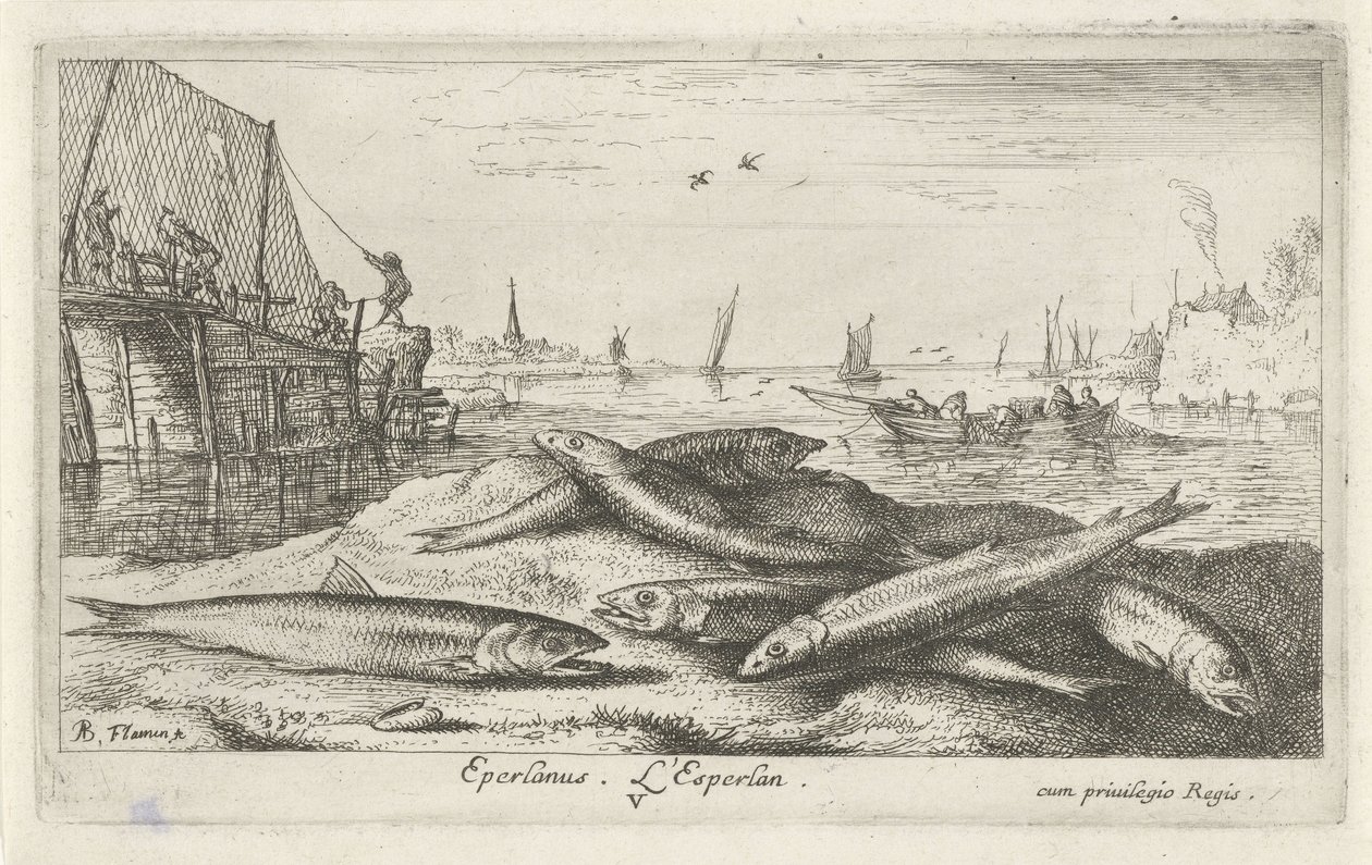 Six Smelts on the Beach (series title: Fish and Other Sea Creatures - Saltwater Second Series) by Albert Flamen
