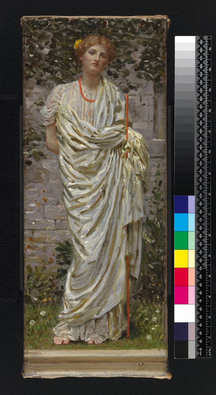 The Umpire by Albert Joseph Moore