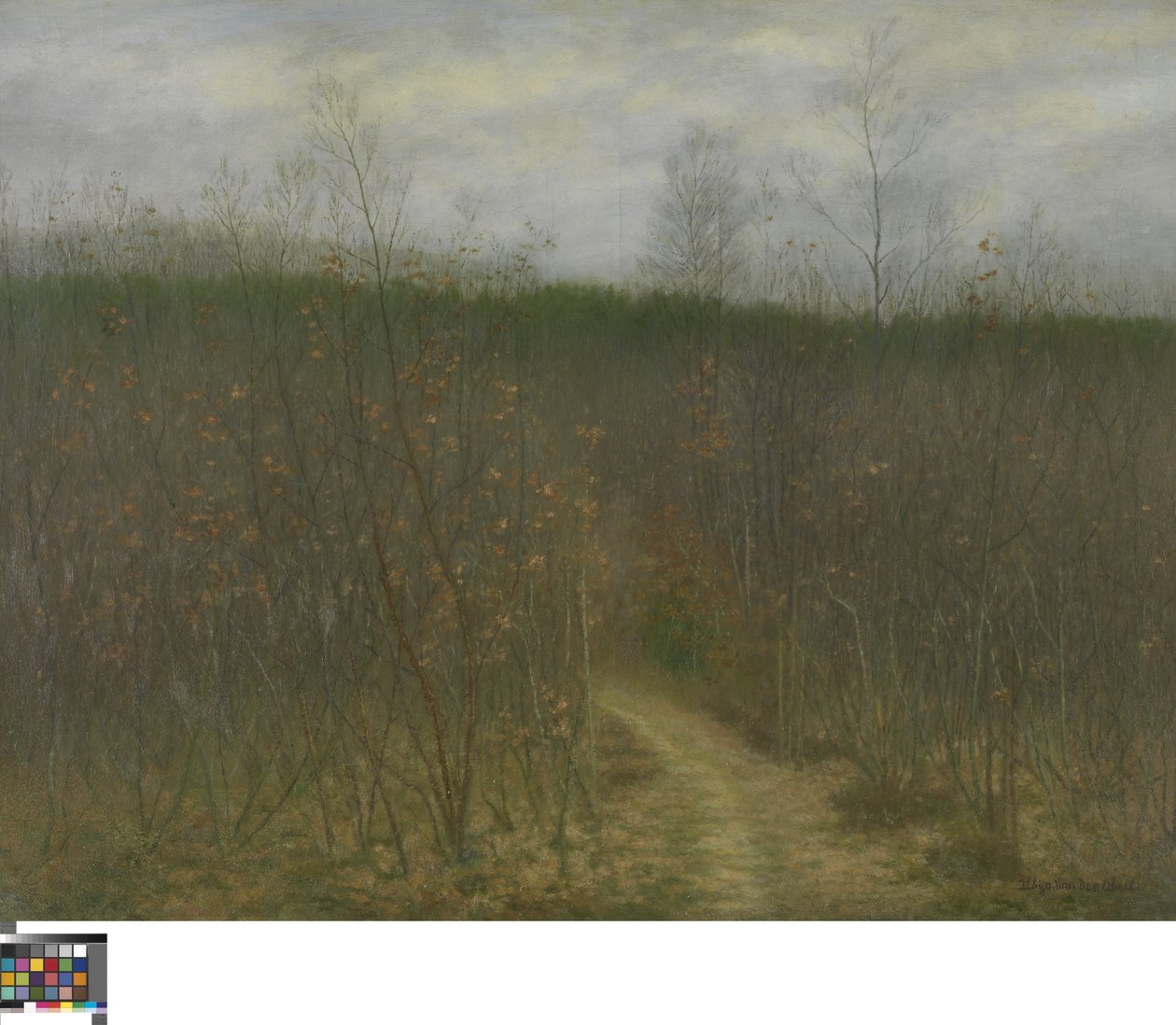 Coppice at Sint-Martens-Latem by Albijn Van den Abeele