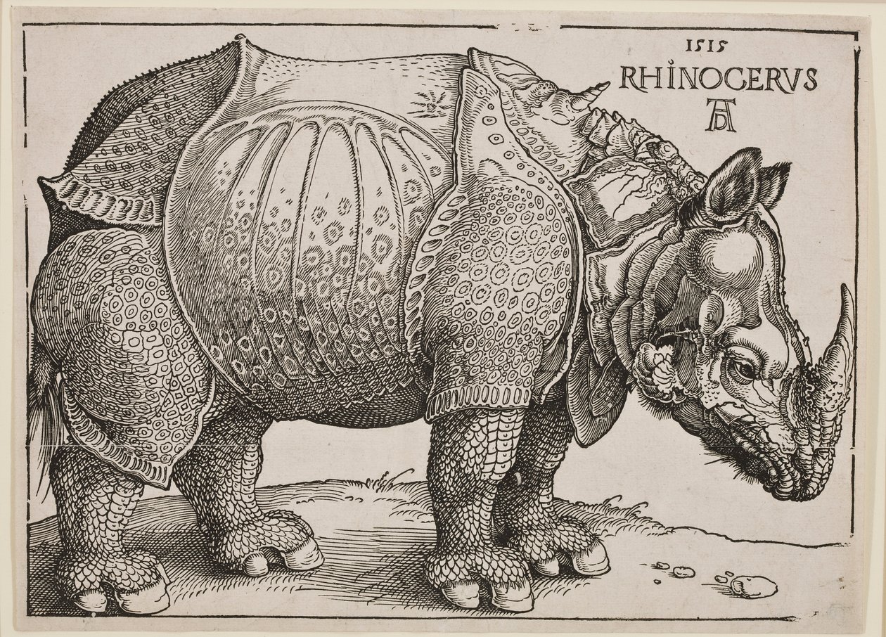 The Rhinoceros by Albrecht Dürer: Premium art reproduction