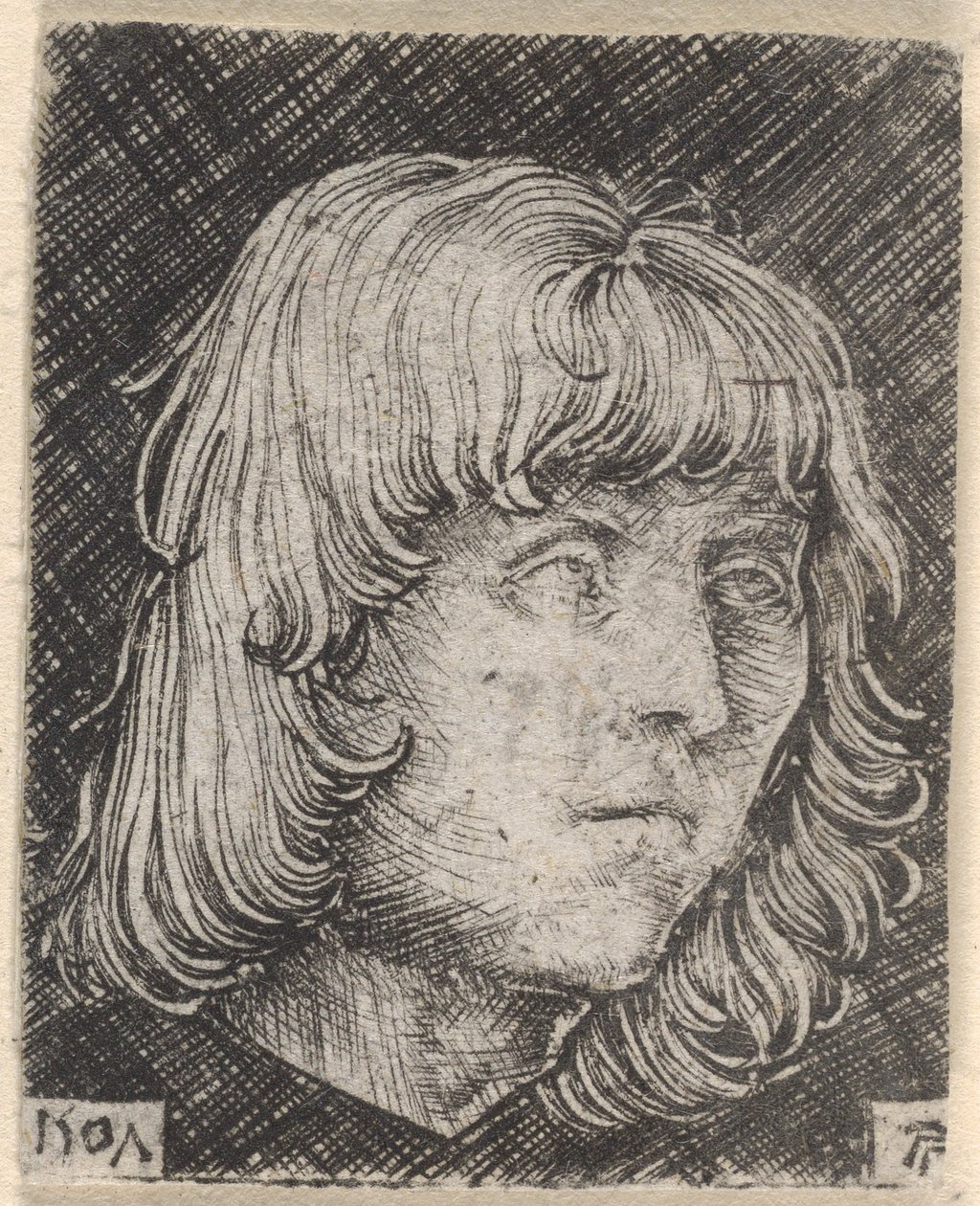 Head of a Young Man by Albrecht Altdorfer