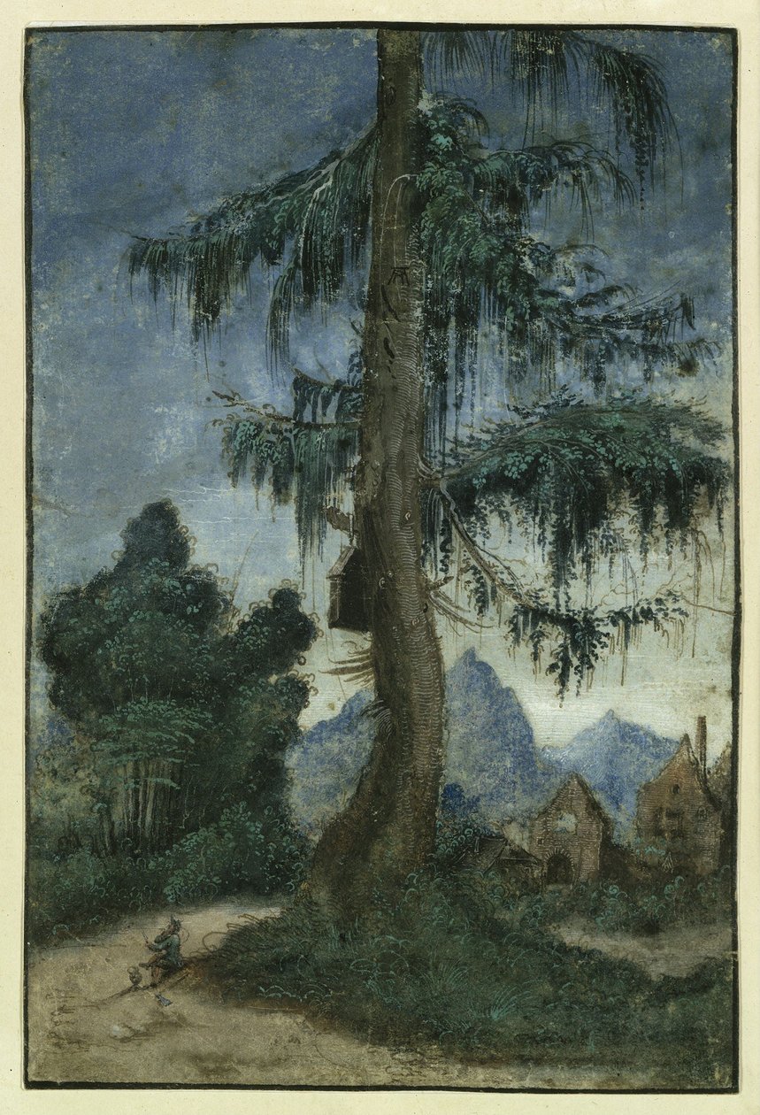 Landscape with Spruce by Albrecht Altdorfer