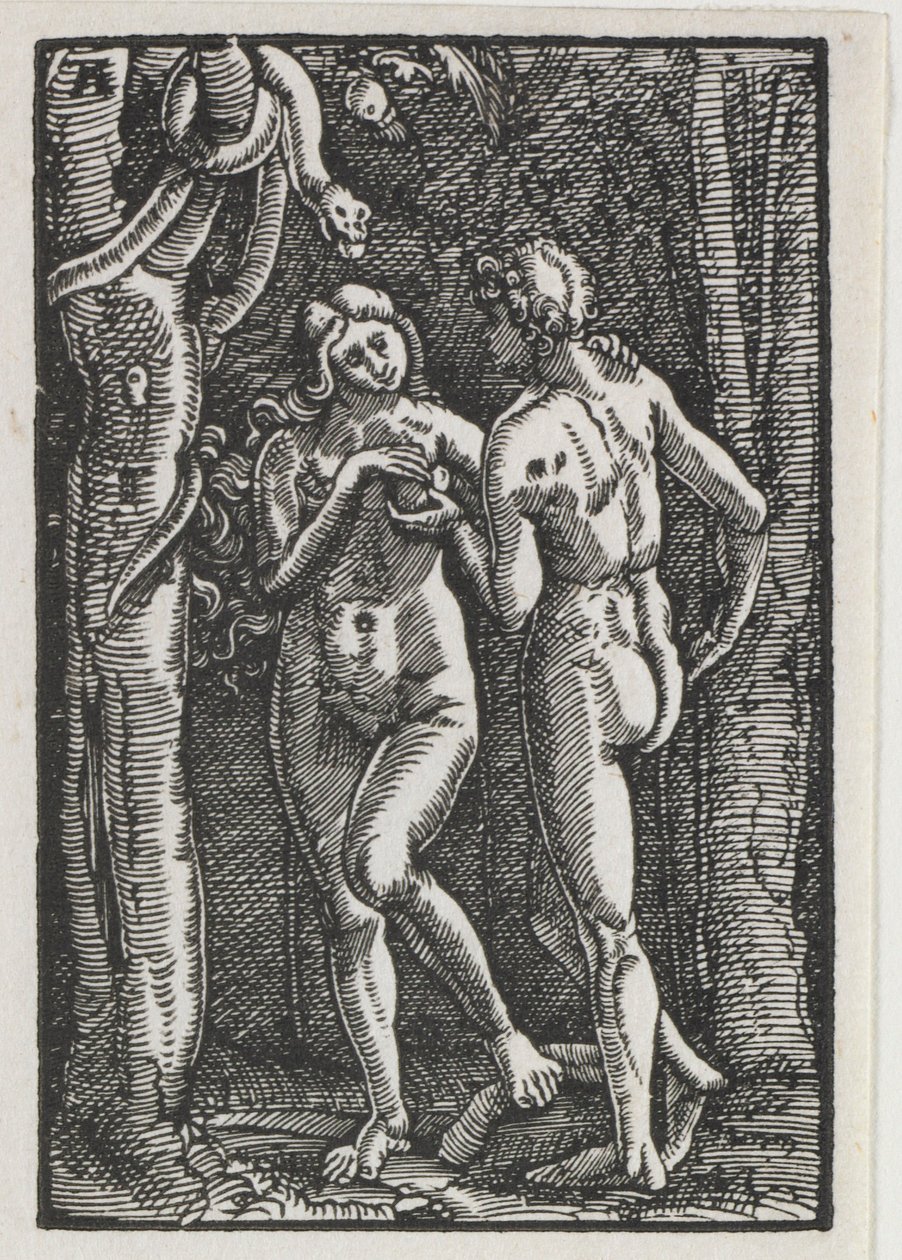 The Fall and Redemption of Man: Adam and Eve Eating the Forbidden Fruit by Albrecht Altdorfer
