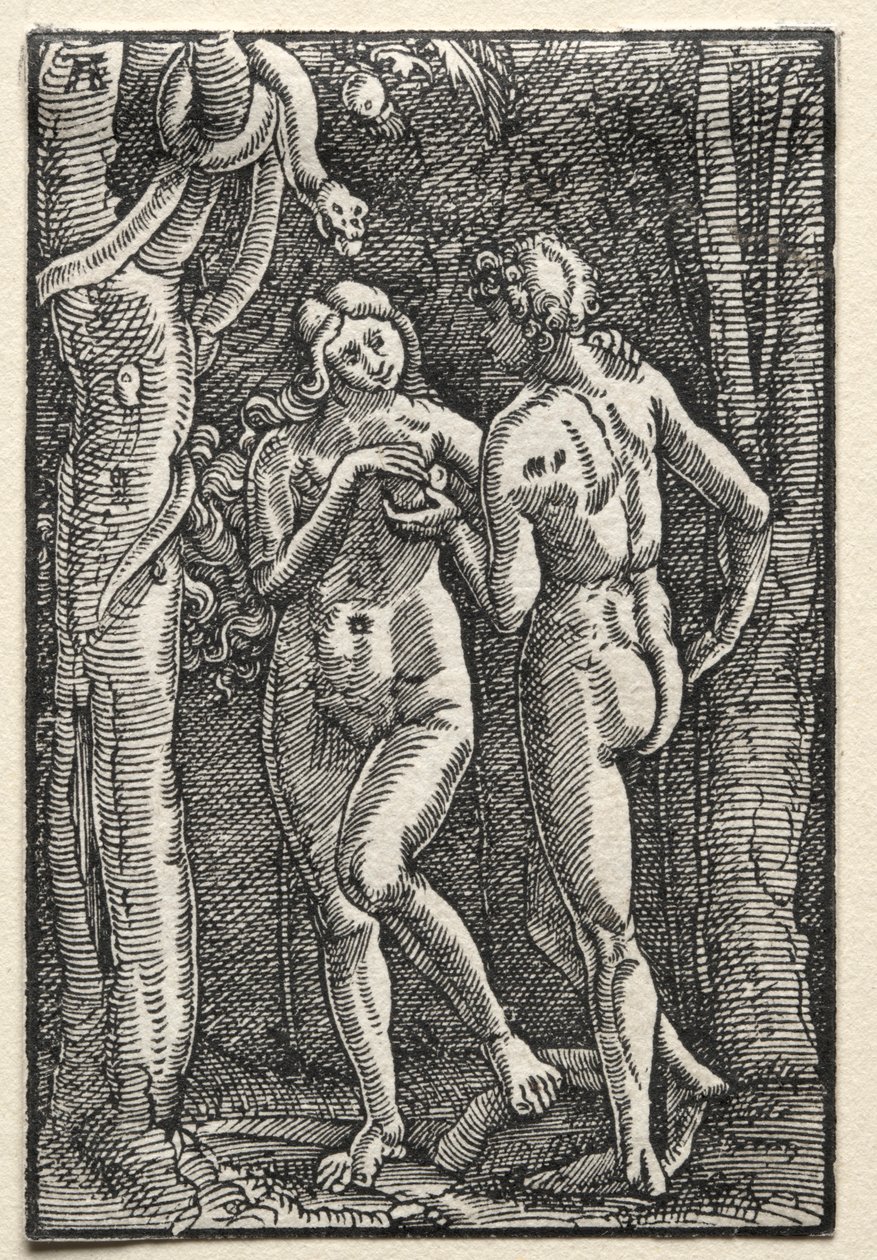The Fall and Redemption of Man: Adam and Eve Eating the Forbidden Fruit by Albrecht Altdorfer